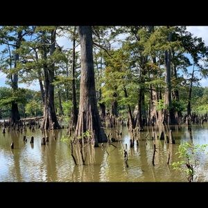 Meet your Posher, Blake